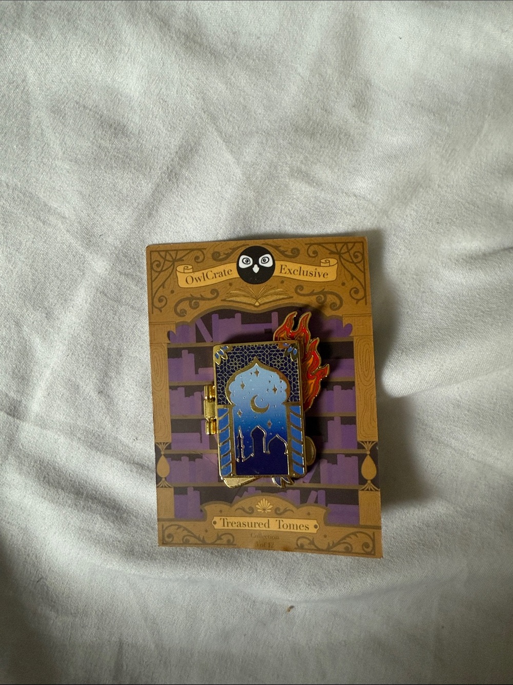OwlCrate Exclusive Treasured Tomes Enamel Book Pin - We Hunt the Flame